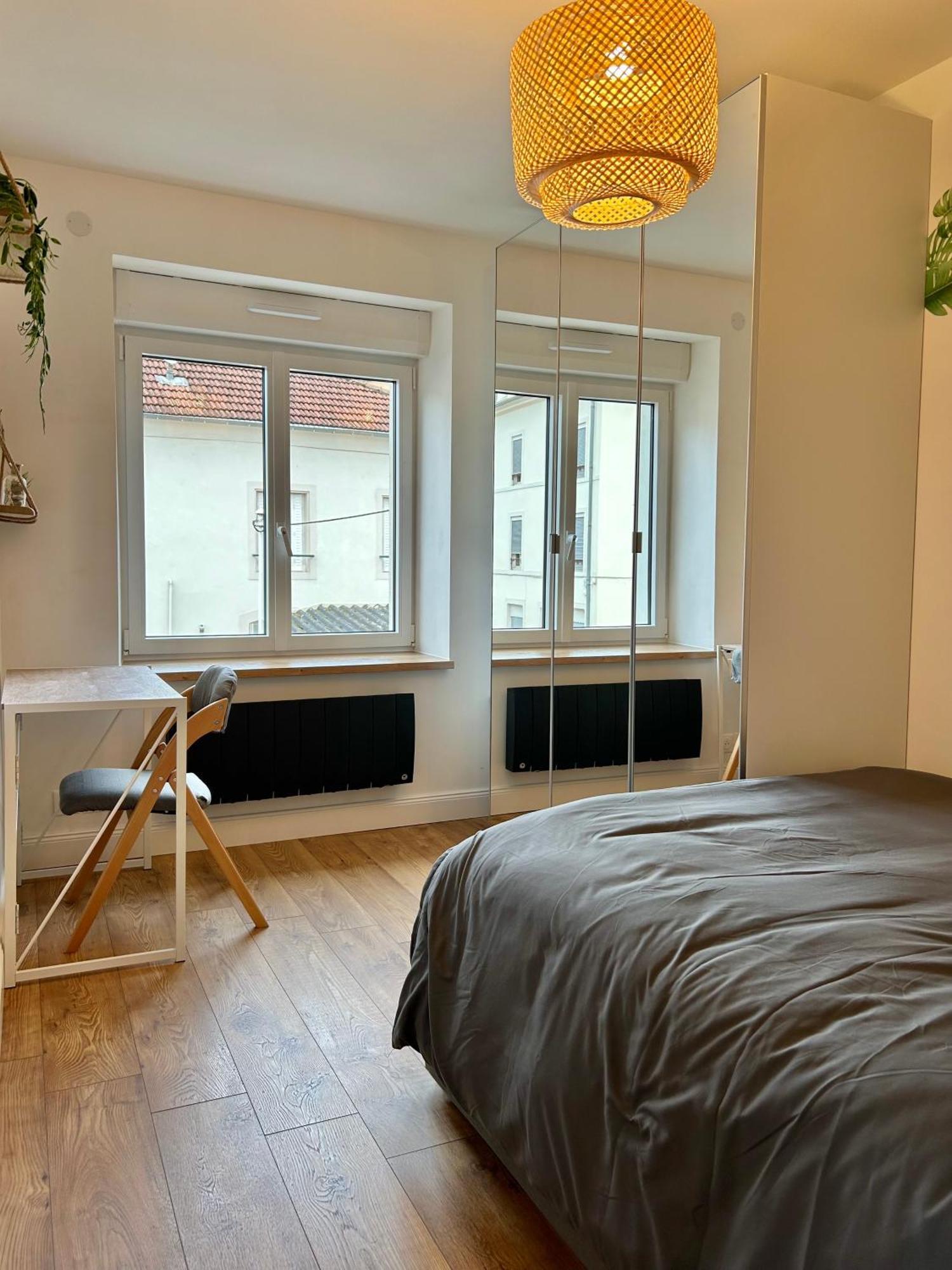 Le Chardon- Appartement 2Chambres- Avec Stationnement ナンシー エクステリア 写真